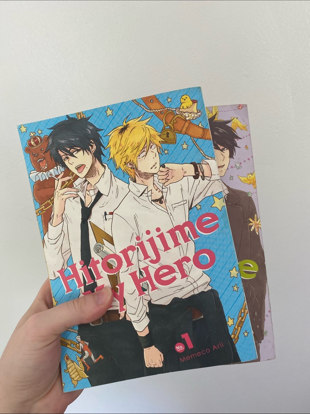Hitorijime My Hero Manga